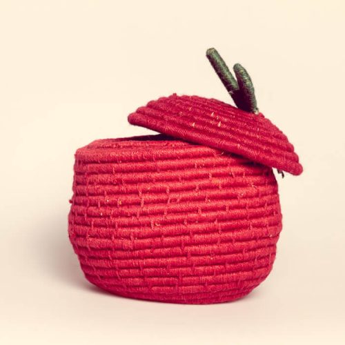 Goldfish New Born Props. Goldfish Dubai. Goldfishdubai.