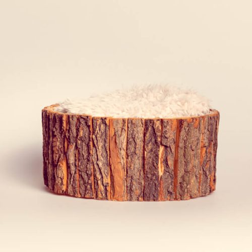 Goldfish New Born Props. Goldfish Dubai. Goldfishdubai.